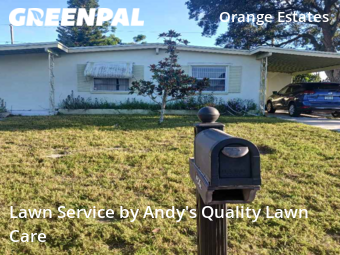 Grass Cutin St Petersburg,33708,Lawn Cutting by Andy's Quality Lawn Care, work completed in Dec , 2025
