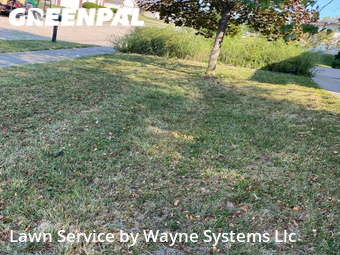 Lawn Care Service nearby Columbia, MO, 