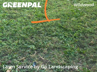 Lawn Mow nearby Charlotte, NC, 