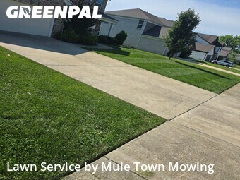 Yard Cutting nearby Spring Hill, TN, 