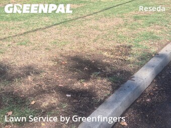 Lawn Service nearby Los Angeles, CA, 