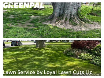 Lawn Service nearby Sandusky, OH, 