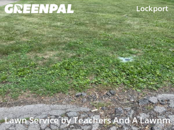 Grass Cut nearby Terre Haute, IN, 