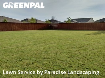 Yard Cutting nearby Plano, TX, 