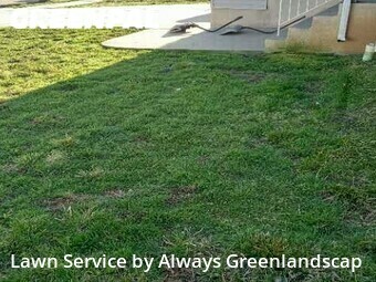 Lawn Mowing nearby Roy, UT, 