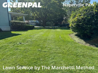 Grass Cutting nearby Plainfield, IL, 