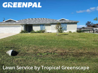 Yard Mowing nearby Punta Gorda, FL, 