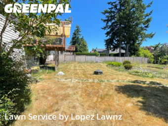 Yard Cutting in Lynnwood, 98036, Yard Care Services by Lopez Lawnz, work completed in Nov , 2025