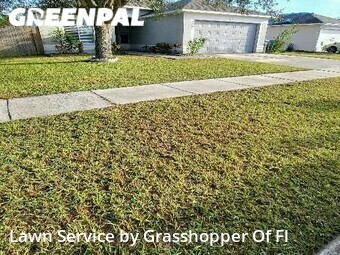 Lawn Care nearby Brandon, FL, 