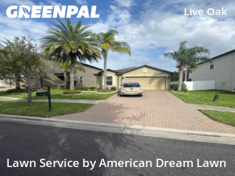 Grass Cut nearby Tampa, FL, 