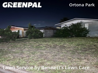 Lawn mowed in Daytona Beach, 32118