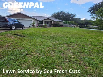 Yard Cutting nearby Ocala, FL, 