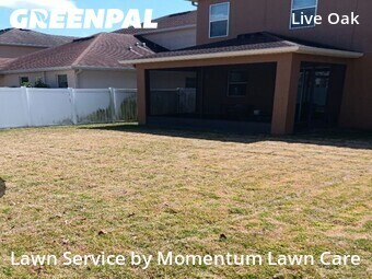 Yard Cutting nearby Tampa, FL, 
