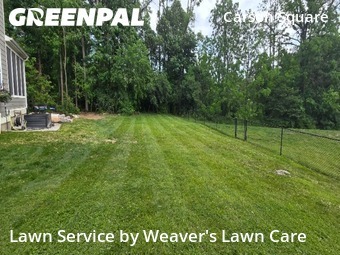 Lawn Cut nearby Indianapolis, IN, 