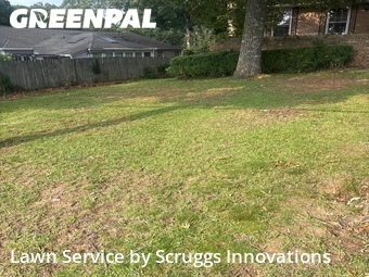 Yard Cutting nearby Jonesboro, GA, 