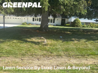 Lawn Cutting nearby Mayfield, OH, 