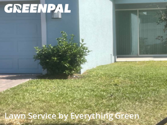 Lawn Mowingin Apopka,32712,Lawn Cut by Everything Green , work completed in Dec , 2025