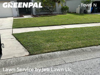 Lawn Cut nearby Tampa, FL, 