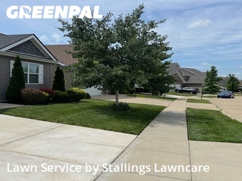 Lawn Care Service nearby St. Peters, MO, 