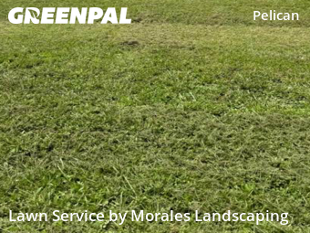 Lawn Maintenance nearby Cape Coral, FL, 
