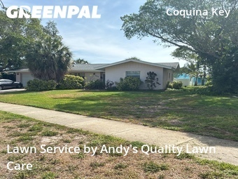 Lawn Mow nearby St. Petersburg, FL, 
