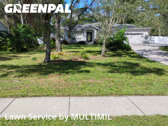 Yard Management in Temple Terrace, 33617, Yard Management by MULTIMIL , work completed in Nov , 2025