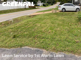 Grass Cut nearby St. Louis, MO, 