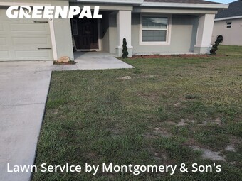 Lawn Cut nearby Lakeland, FL, 