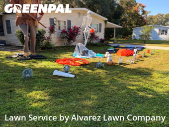 Yard Mowingin Winter Springs,32708,Yard Mowing by Alvarez Lawn Company, work completed in Jan , 2026