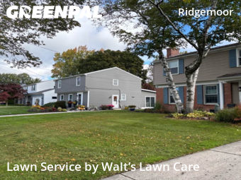 Lawn Care nearby Grand Rapids, MI, 