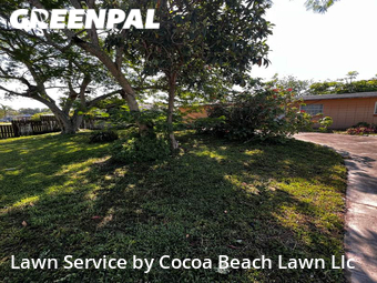 Lawn Cutting nearby Rockledge, FL, 