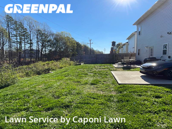 Lawn Cutting nearby Charlotte, NC, 