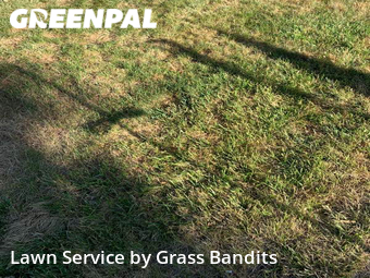 Lawn Mow nearby Billings, MT, 