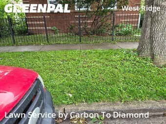 Lawn Service nearby Chicago, IL, 