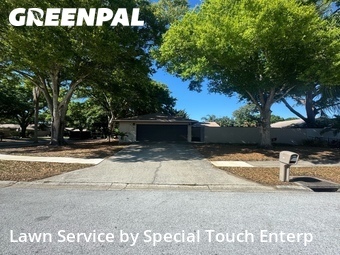 Lawn Mowing Service nearby Palm Harbor, FL, 
