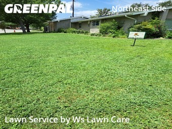 Grass Cut nearby Windcrest, TX, 