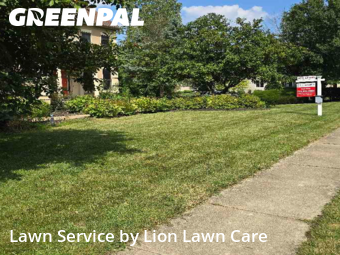 Yard Cutting nearby Lewis Center, OH, 