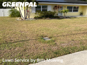 Grass Cut nearby Largo, FL, 