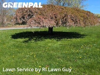 Lawn Cut nearby Tiverton, RI, 