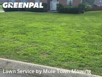 Yard Cuttingin Smyrna,37167,Grass Cut by Mule Town Mowing , work completed in Jul , 2026