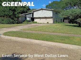 Lawn mowed in Farmers Branch, 75234