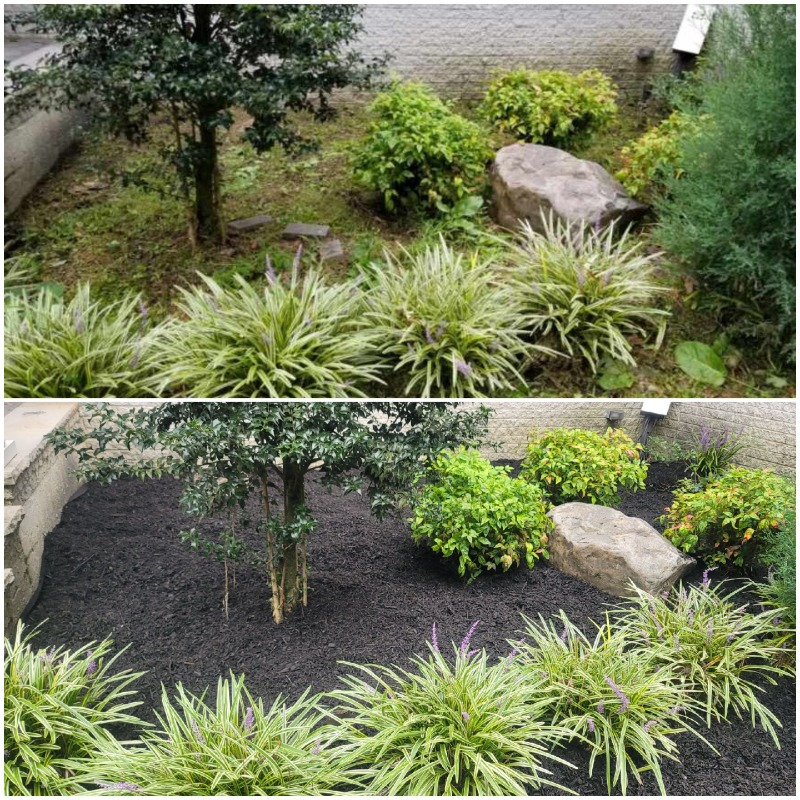 The Green Stuff Lawn Lawn Care Services in Bellmawr, NJ