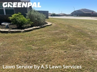 Lawn Cut nearby New Braunfels, TX, 