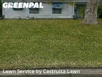 Lawn Cutting nearby Houston, TX, 