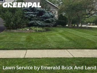 Grass Cut nearby Oswego, IL, 