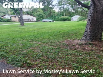 Lawn Cutting nearby Clarksville, TN, 