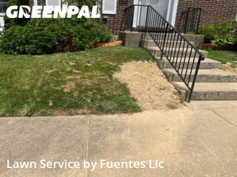 Grass Cut nearby Nottingham, MD, 