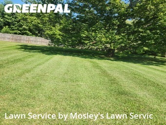 Lawn Mowing nearby Clarksville, TN, 