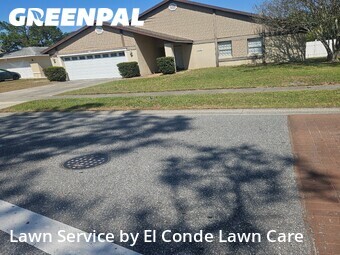 Yard Mowing nearby Orlando, FL, 