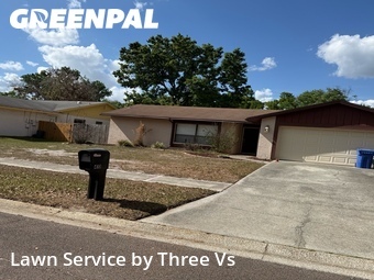 Yard Mowing nearby Brandon, FL, 